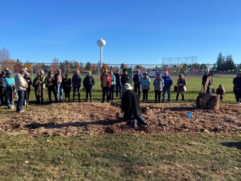 A group of people planting trees